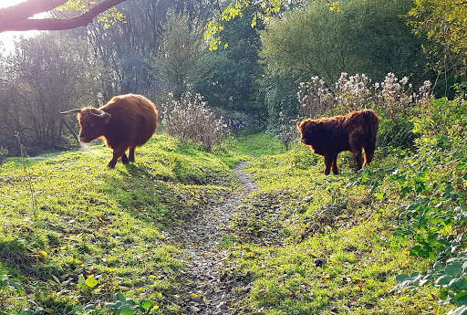 Northern Ijpolder - Thumbnail