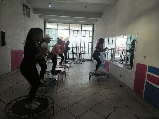 Studio fitness y Cardio escaladoras ALFA Y OMEGA QUEEN'S . Distribuidor kromasol - Thumbnail