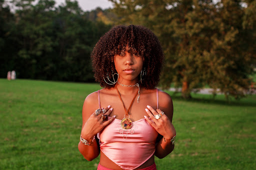 Savané Silver - Visual