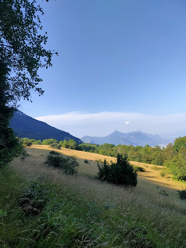 Espace Naturel Sensible de la Tourbière du Peuil - Thumbnail
