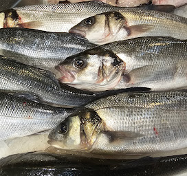 Photo n°10 de Poissonnerie de l'Océan à Loudéac (Poissonnerie)