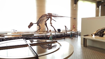 Photos of Museum of Natural Sciences