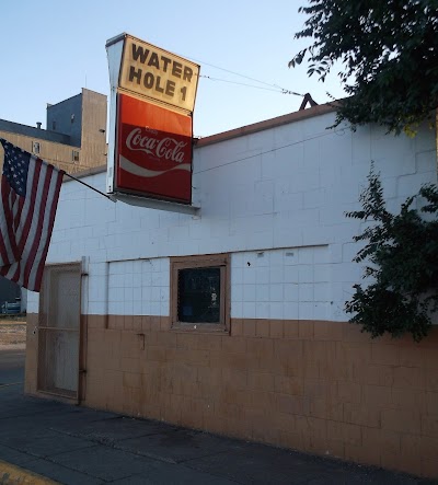 Water Hole 1 Bar