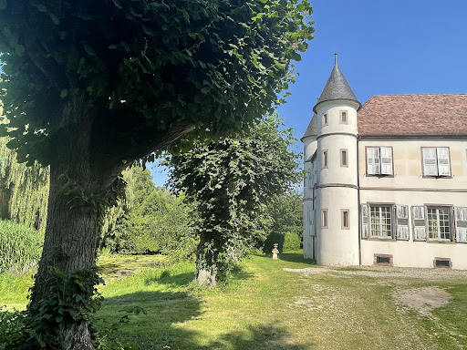 Photo de Château de Werde à Matzenheim (67150)