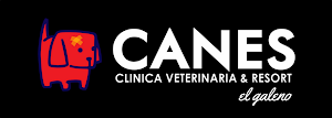 Veterinaria CANES Galeno 7