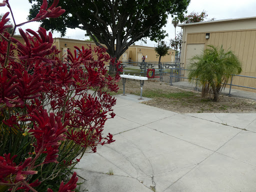 Ford Park Adult Center - Thumbnail