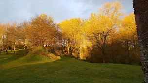 Photo n°10 de Le Nichoir à Essarts-en-Bocage (Chambre d'hôtes)