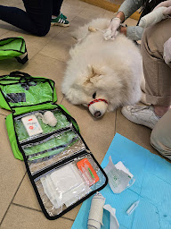 Photo n°18 de Préavies à Bouvesse-Quirieu (Formation aux premiers secours)