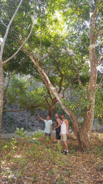 Photos of Jungle Boy Tours, Souvenirs & Milkshakes