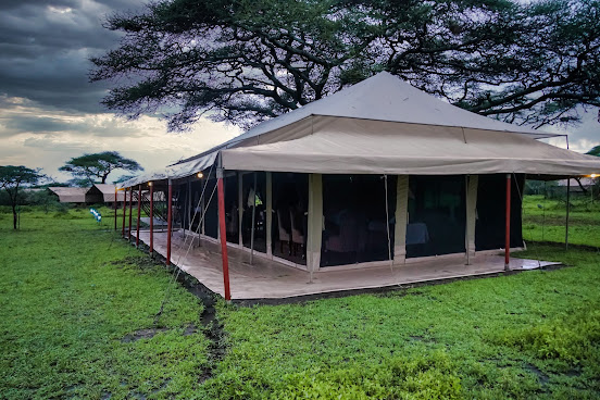 Serengeti Savannah Camps by null