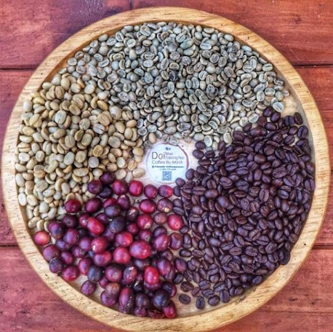 Organic Java Coffee House by null