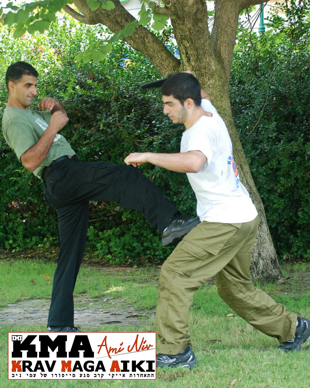 Картинки по запросу Aiki Krav Maga