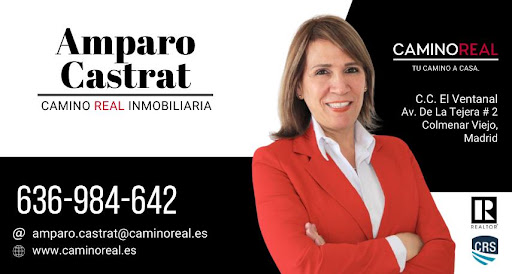 Camino Real Inmobiliaria Madrid