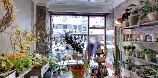 Blomsterdrøm Studio - Fredensborg