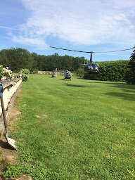 Photo n°7 de Château de Jalnay à Glénouze (Château)