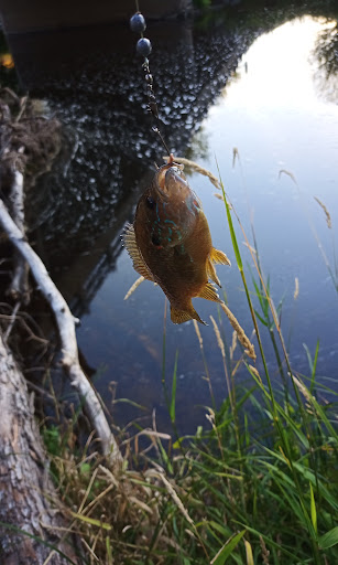 Amco County Park - Thumbnail