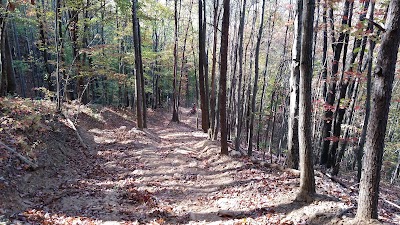 Photos of Brushy Mountain Motor Sports Park