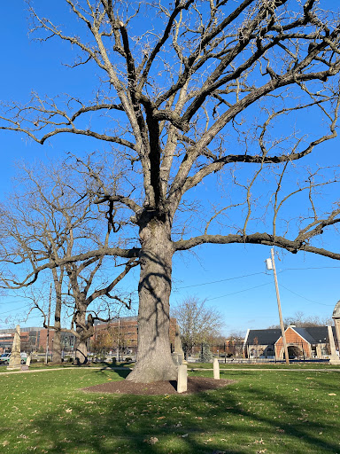 Springfield Burying Ground - Thumbnail