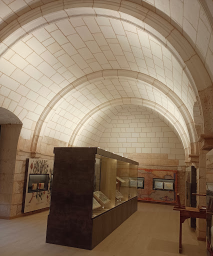 Museo del Libro - Visual