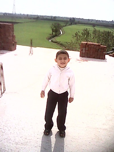 Photos of مجلس مدينه الكردى