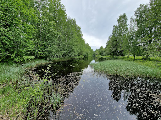 Rovön - Visual