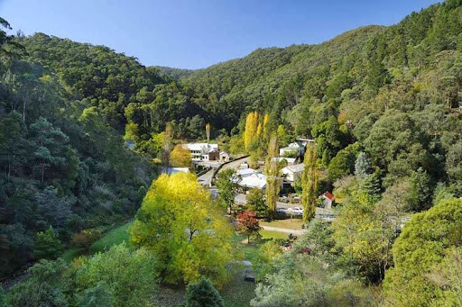 Walhalla's Star Hotel - Thumbnail
