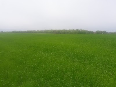 Photos of Юбилейный Парк
