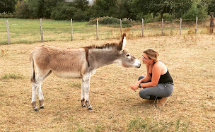 Photo n°21 de Il Etait Une Fois Sport - EIRL DUCRUET GUILLOT EUGENIE, monitrice indépendante à Savigny-en-Revermont (Club d'équitation)