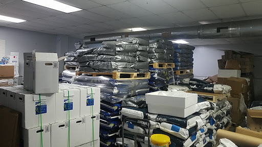 FTFFA Coop Store - Visual