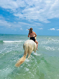 Photo n°15 de Ranch Paganacciu - Balade à cheval en Corse - Baignade avec les chevaux à Penta-di-Casinca (Centre de randonnée équestre)