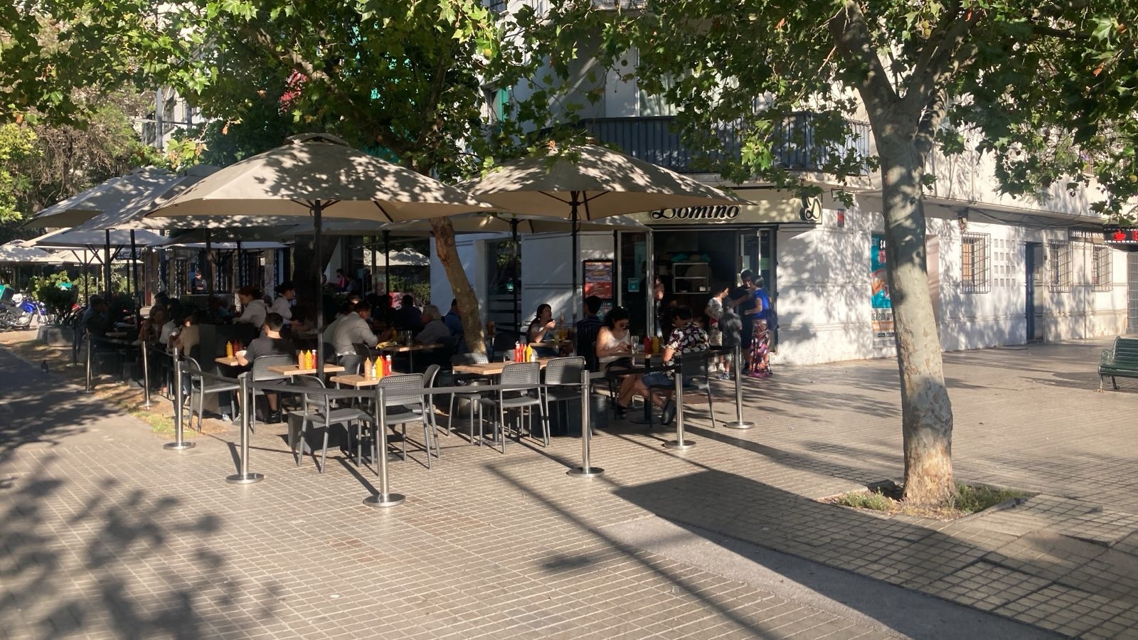 Dominó — photo 3