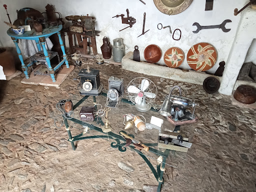 Exposición El Buscador de Setas - Thumbnail