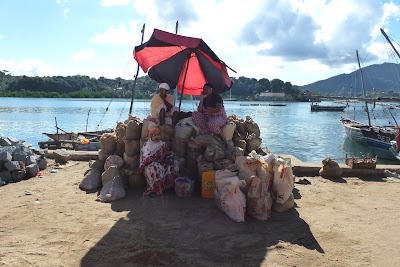Photos of Pirogues to Nosy Komba