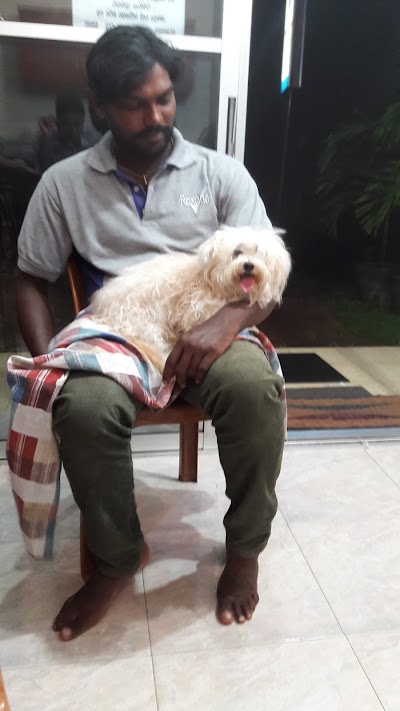 Photos of Pet Veiw Vet Clinic