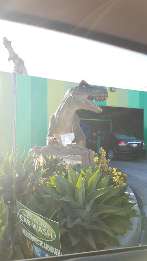 Green Forest Car Wash - Thumbnail