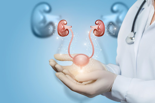 Bladder prolapse, also known as a cystocele, occurs when the supportive pelvic floor muscles and… post image