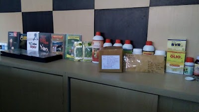 store