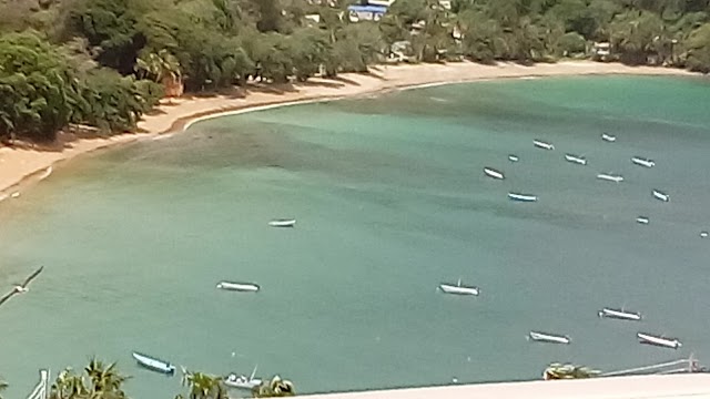 Pirate's Bay