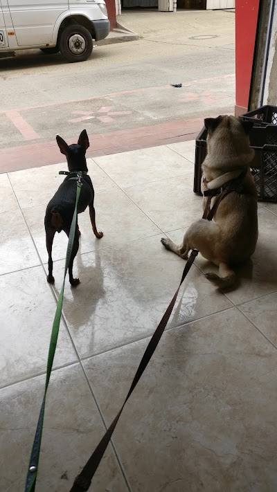 Photos of Pet Store
