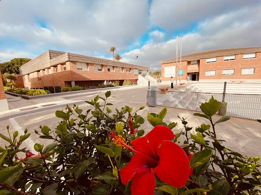 Universidad Internacional de Canarias - Thumbnail