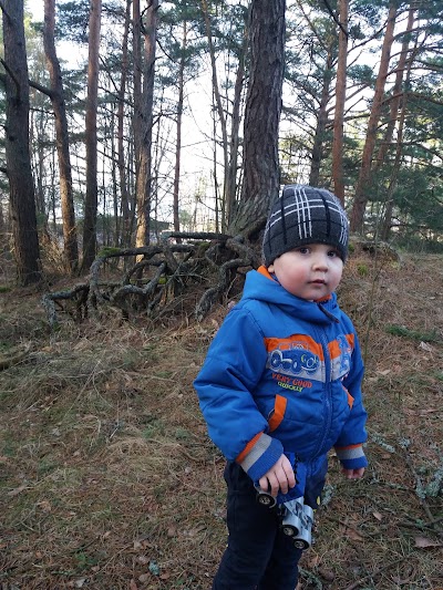 Photos of Priede