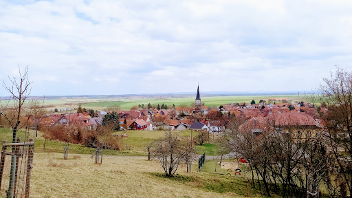 Seeberg - Visual