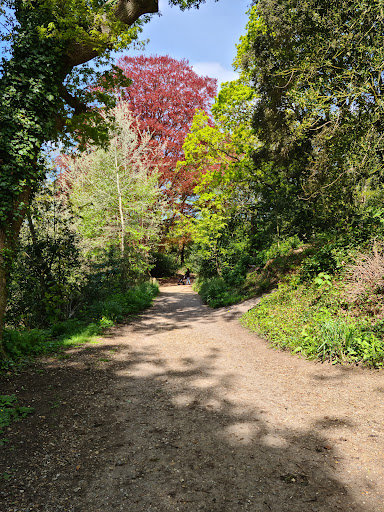 Holly Hill Woodland Park - Thumbnail