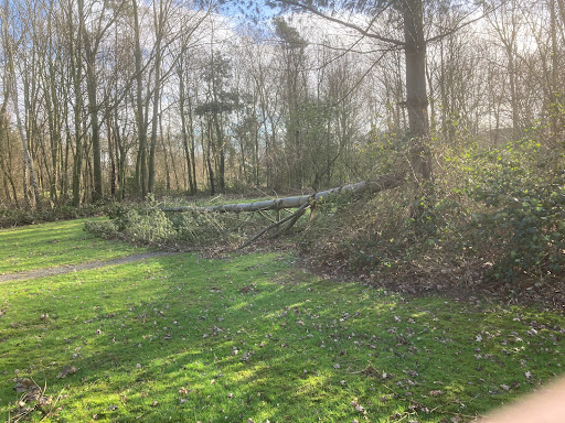 Het Kolkakkers Bos