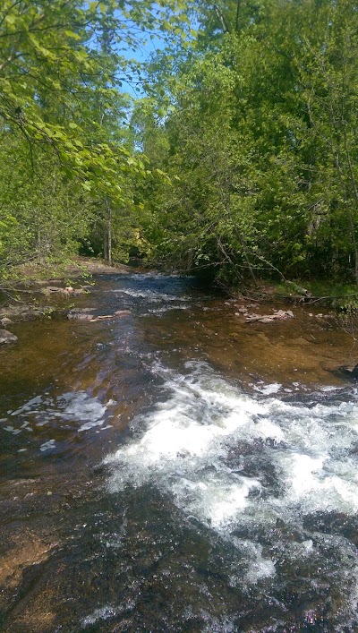 Photos of Lake Bailey Wildlife Sanctuary