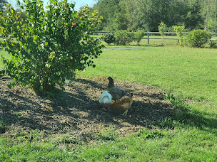 Photo n°9 de Chambres d'hôtes La Vallée à Mansigné (Chambre d'hôtes)