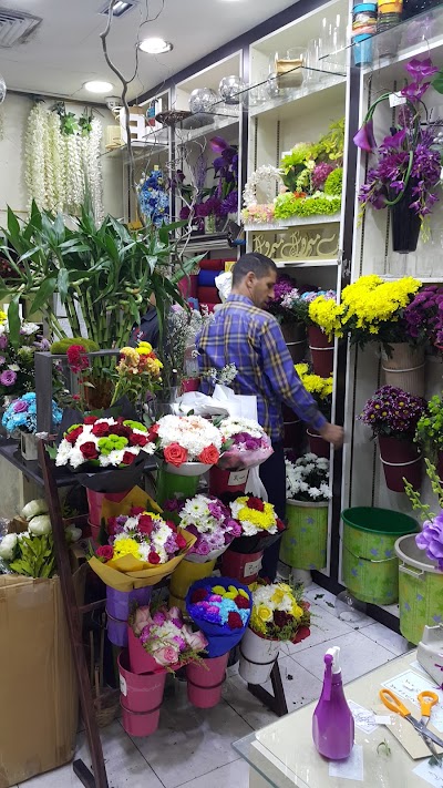Photos of زهور التعارف