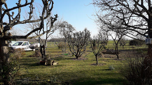 Photo de Garden Life à Chuelles (45220)