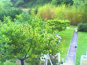 Photo n°8 de Les Lyres à Rennes-les-Bains (Agence immobilière)