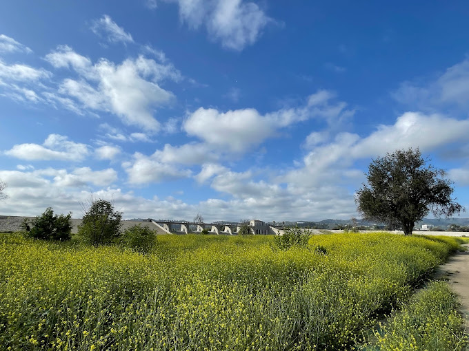 Sepulveda Basin Wildlife Reserve